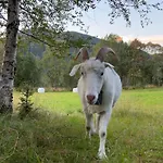 Stille Og Fredelig Med Panoramautsikt Valsøybotn