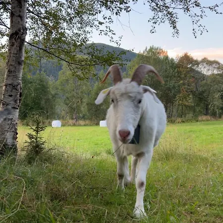 Stille Og Fredelig Med Panoramautsikt Valsøybotn