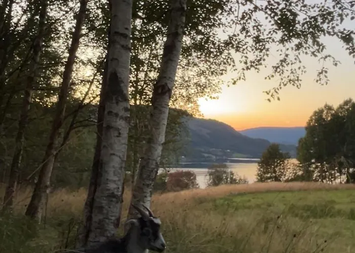 Nyaraló Stille Og Fredelig Med Panoramautsikt Valsøybotn
