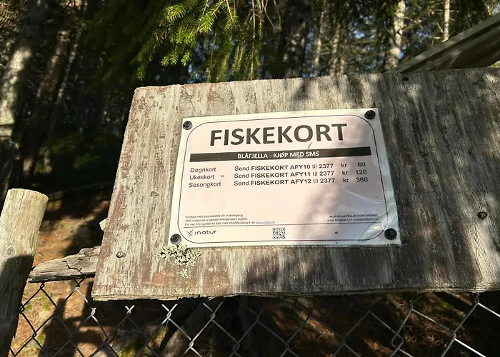 Semesterbostad Stille Og Fredelig Med Panoramautsikt Valsøybotn